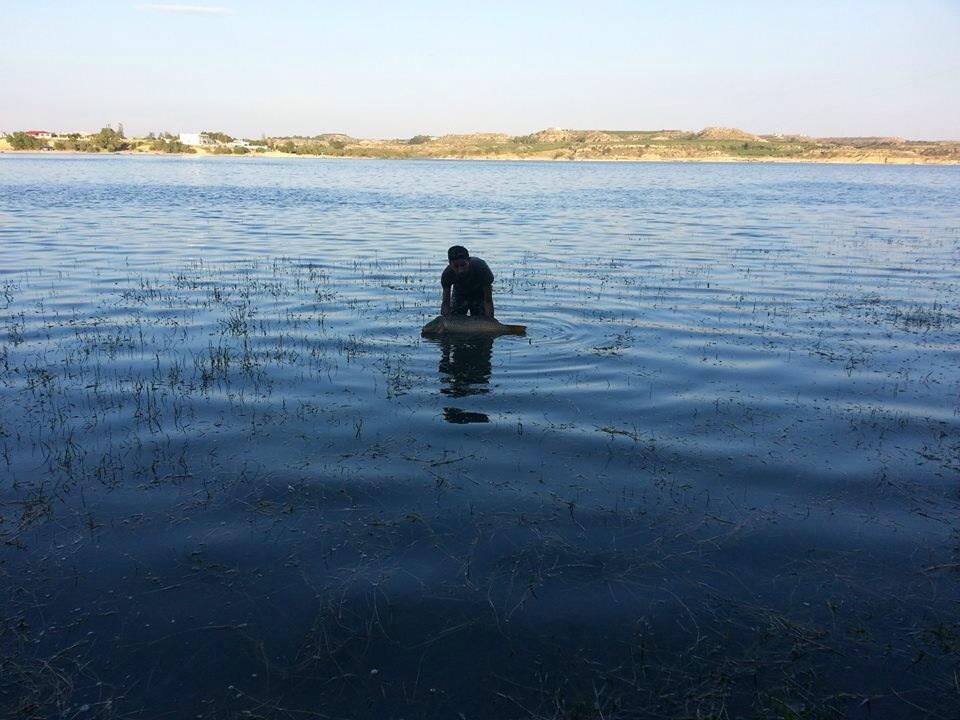 2013 - 3 - image111111111111111111.jpg